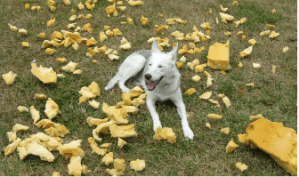 Screen shot 2015-09-17 at 7.21.58 PM